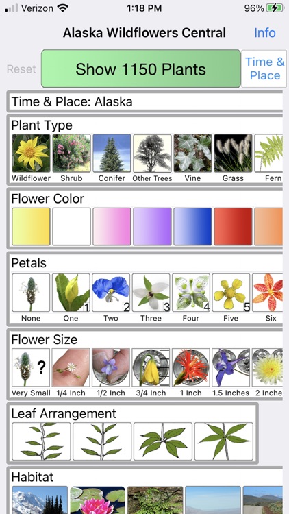 Alaska Wildflowers Interior