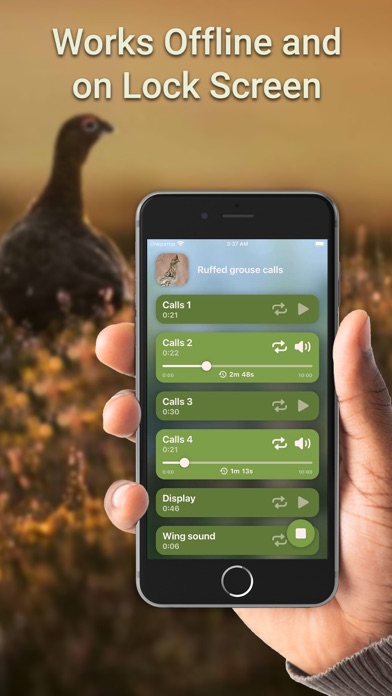 Hunting Calls: Grouse Screenshot