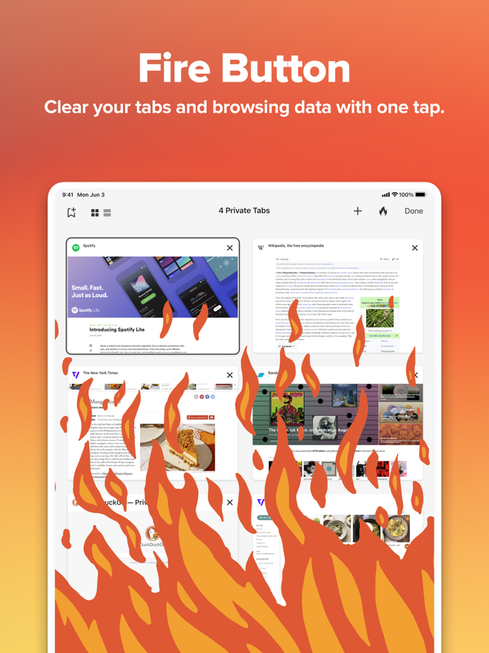 DuckDuckGo Private Browser