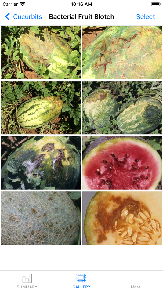 #5. MyIPM Vegetables (iOS) Podle: Charles T. Bargeron