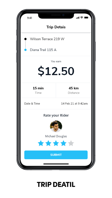 TaxiDriver Screenshot