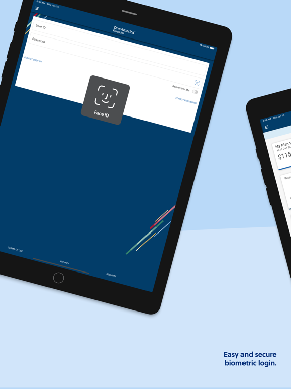 OneAmerica Retirement iPad screenshot 2 - Finance app