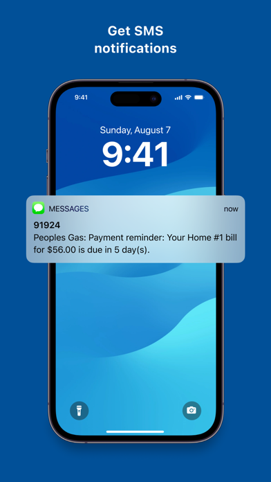 Peoples Gas Chicago Screenshot
