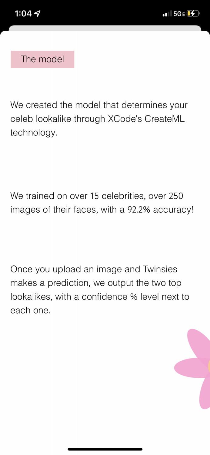 Twinsies - Celebrity Lookalike