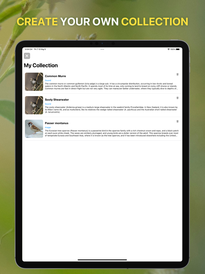 Bird Sounds Identifier Call ID