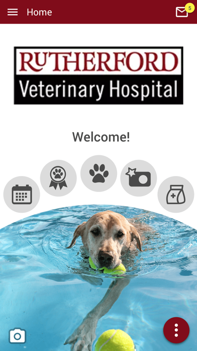 Rutherford Veterinary Hospital Screenshot
