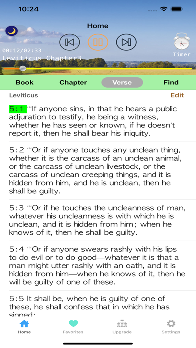 Bible Audio English Screenshot