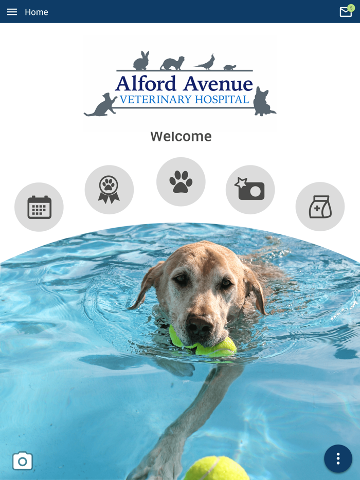 Alford Avenue Vet