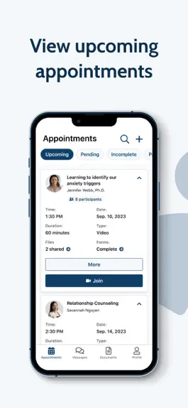 Game screenshot Pyramid Healthcare Portal hack