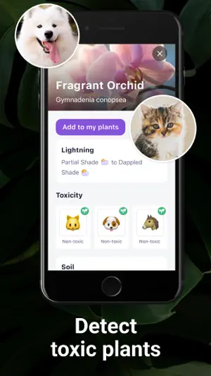 AI Plant Identifier・Care-Lily screenshot 6