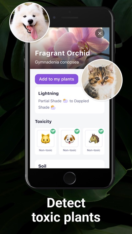 AI Plant Identifier・Care－Lily screenshot-5