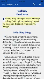 rvwang new testament problems & solutions and troubleshooting guide - 3