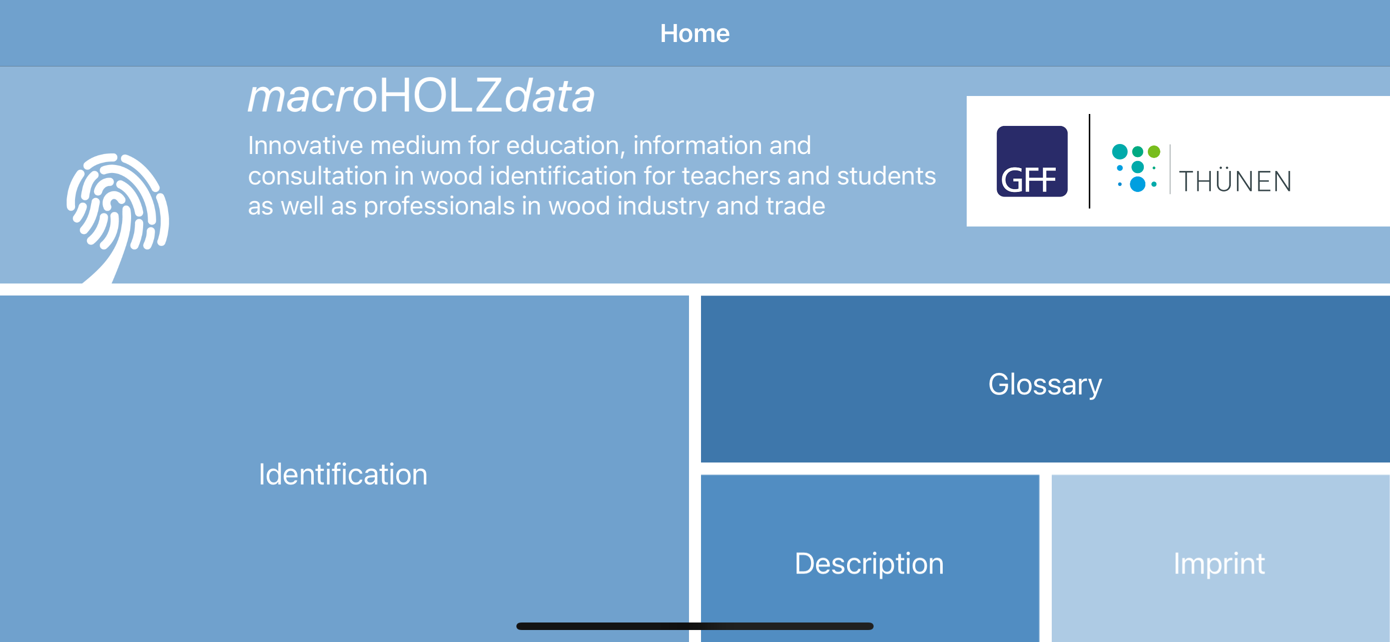 macroHOLZdata