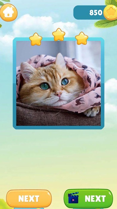 Pieces Picture - Jigsaw Puzzle Screenshot