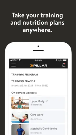 Game screenshot 3 Pillar Training apk