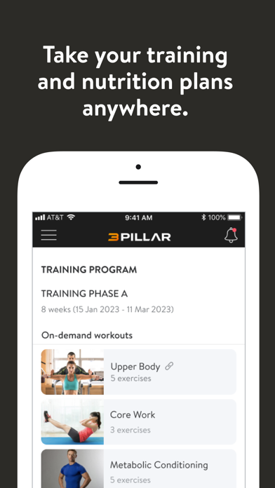 3 Pillar Training Screenshot