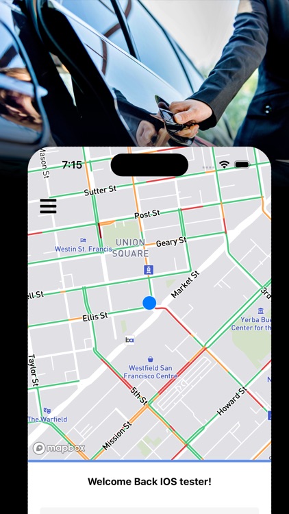 Perfect Luxury Services