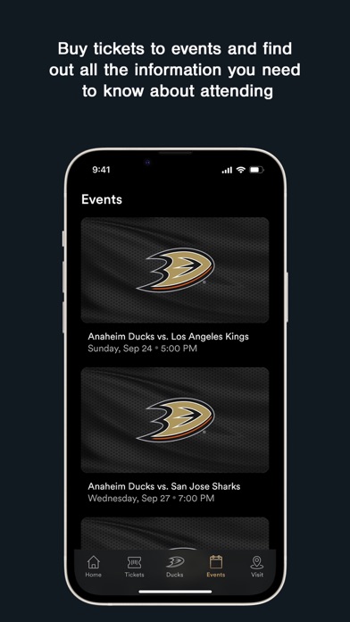 Honda Center + Ducks Screenshot