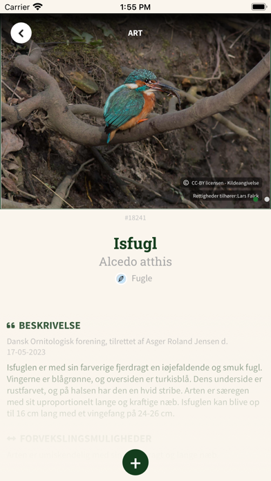 Arter - Indberetning Screenshot