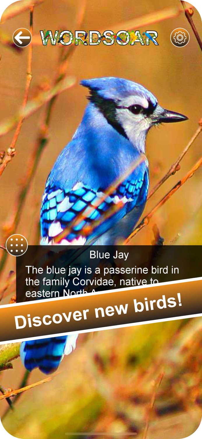 Word Soar - Fun Puzzle Game