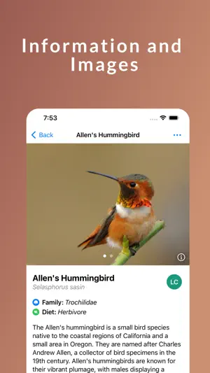 Feather Finder - A Bird Guide screenshot 3