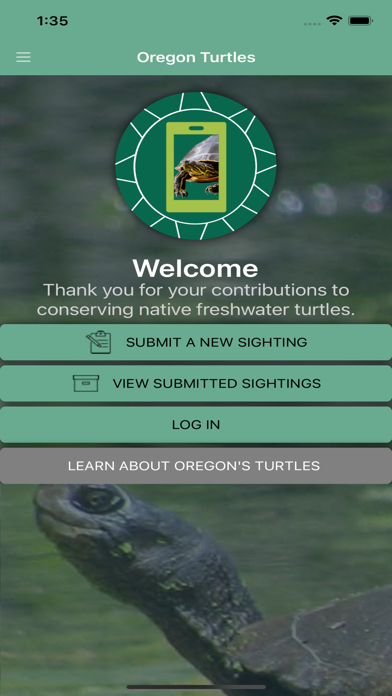 Oregon Turtles Screenshot