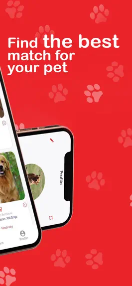 Game screenshot Duo-Pet apk