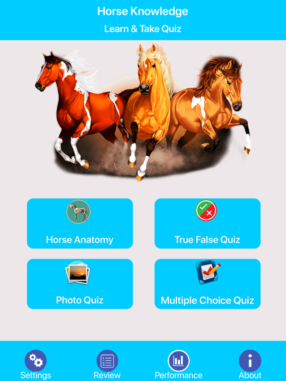 Screenshot #4 pour Learn Horse Knowledge