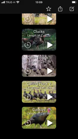 Game screenshot Turkey Calls App hack