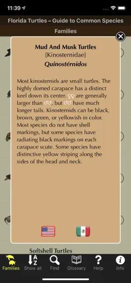 Game screenshot Florida Turtles apk