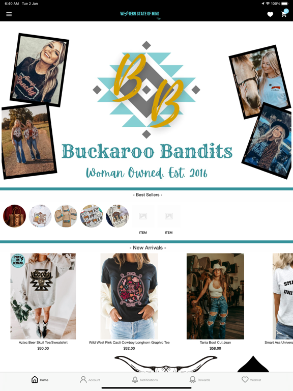 Screenshot #4 pour Buckaroo Bandits