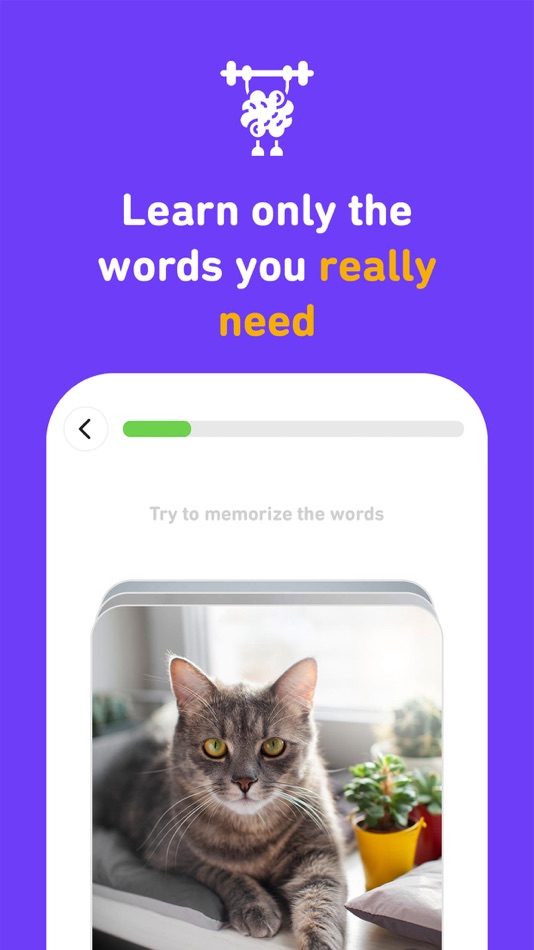 #5. iSpeak: Languages learning app (iOS) By: PALMX APPS LTD