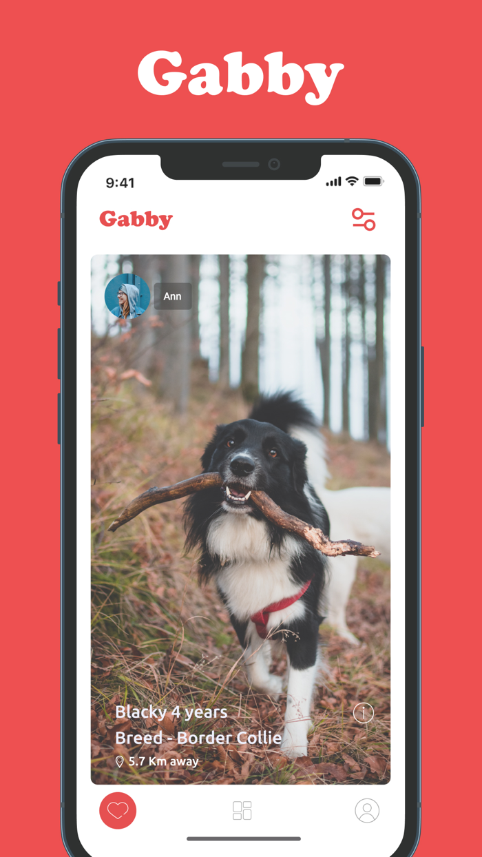 Gabby-dating  health for dogs