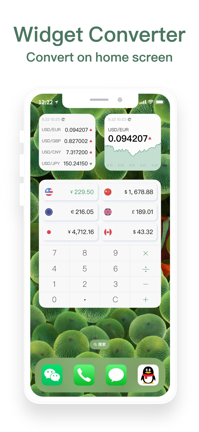 Currency Converter and Widget