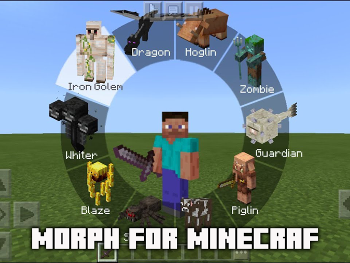 MCPE ADDONS - Morph Mods