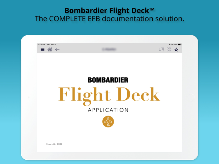 Bombardier Flight Deck 3