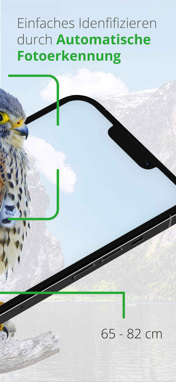 Vögel in Österreich