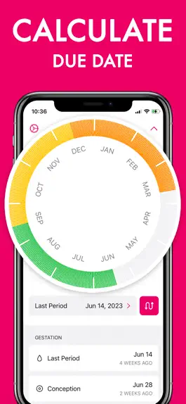 Game screenshot OB Wheel for Pregnancy mod apk