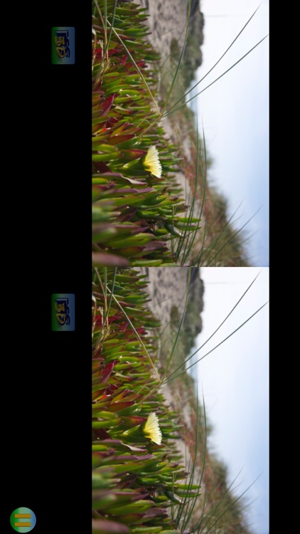 MS3D ChaCha-viewer screenshot-4