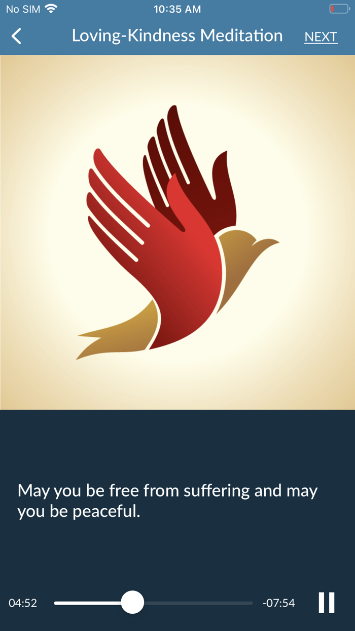 Mindfulness Explorer Pro