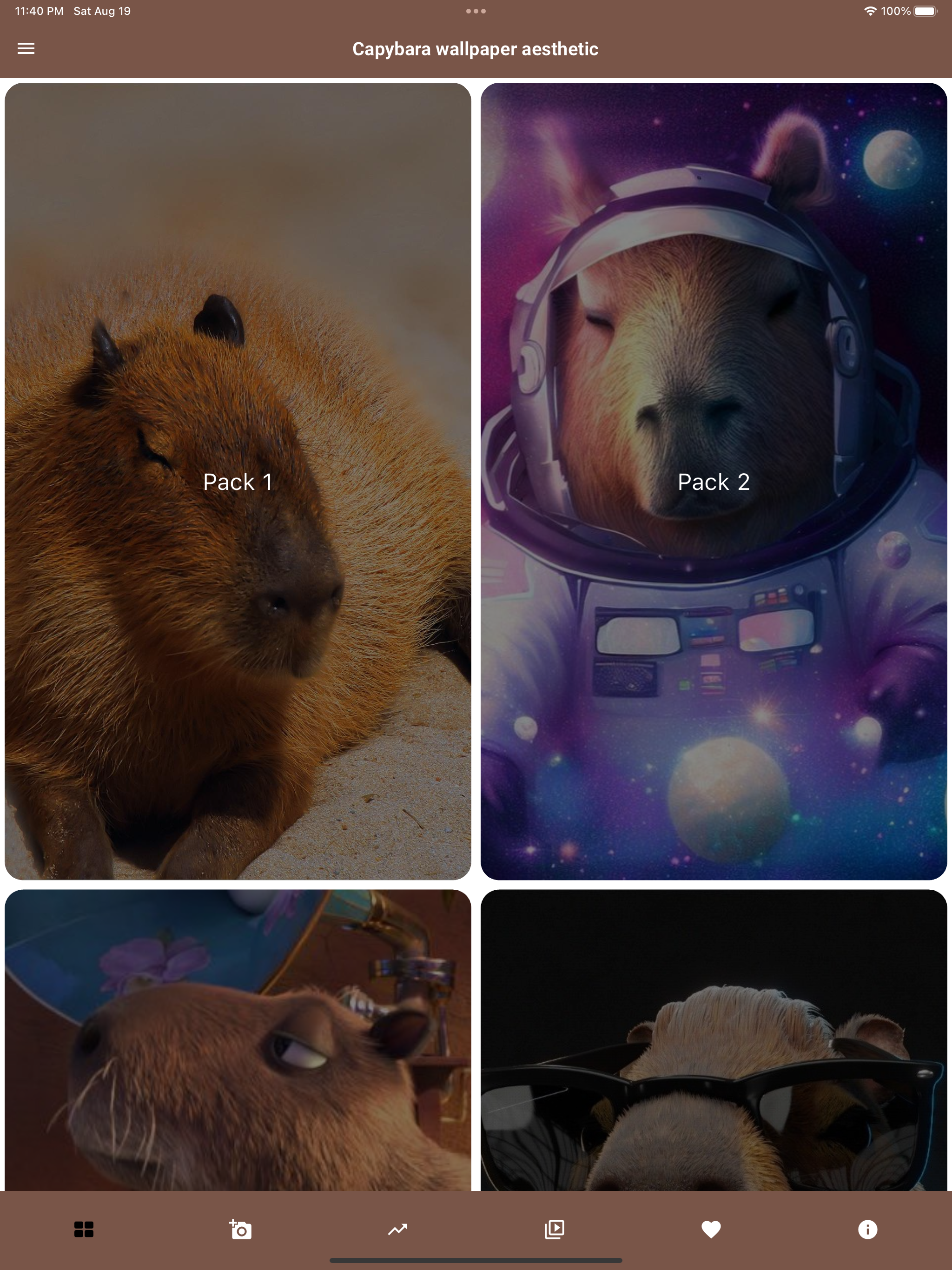 Capybara Wallpaper - Funny Pet