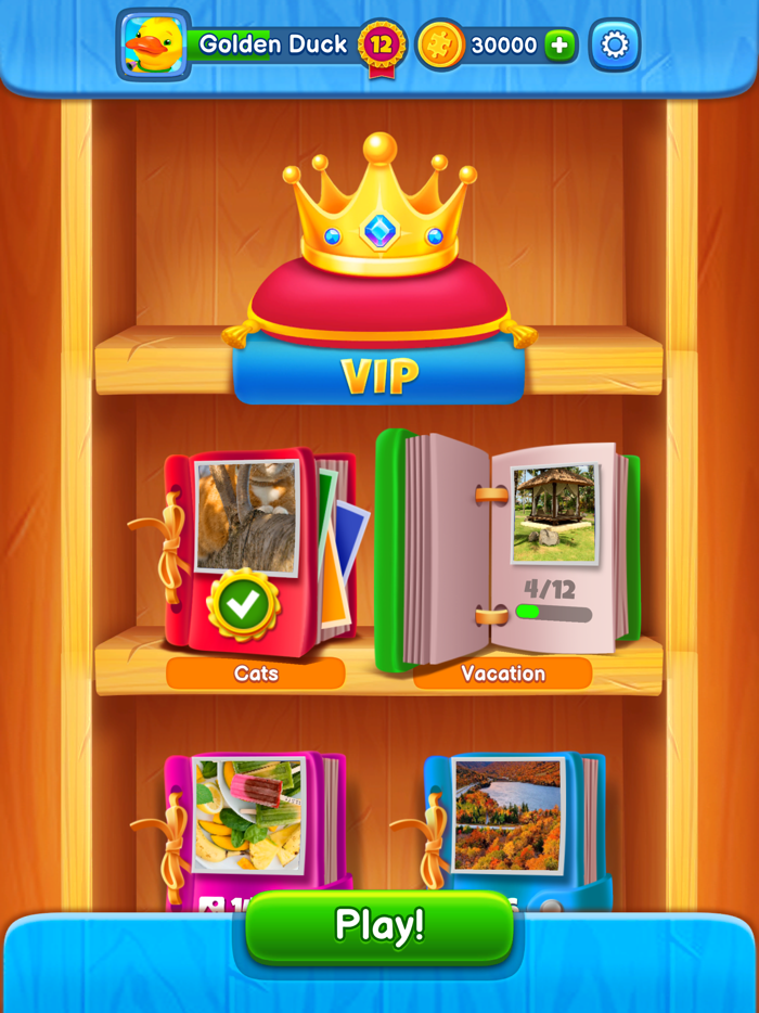 Jigsaw Puzzle Collection Art