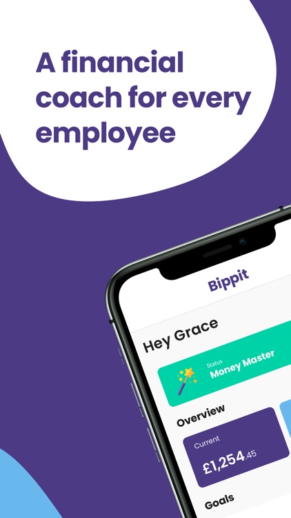 Bippit - Financial Wellbeing