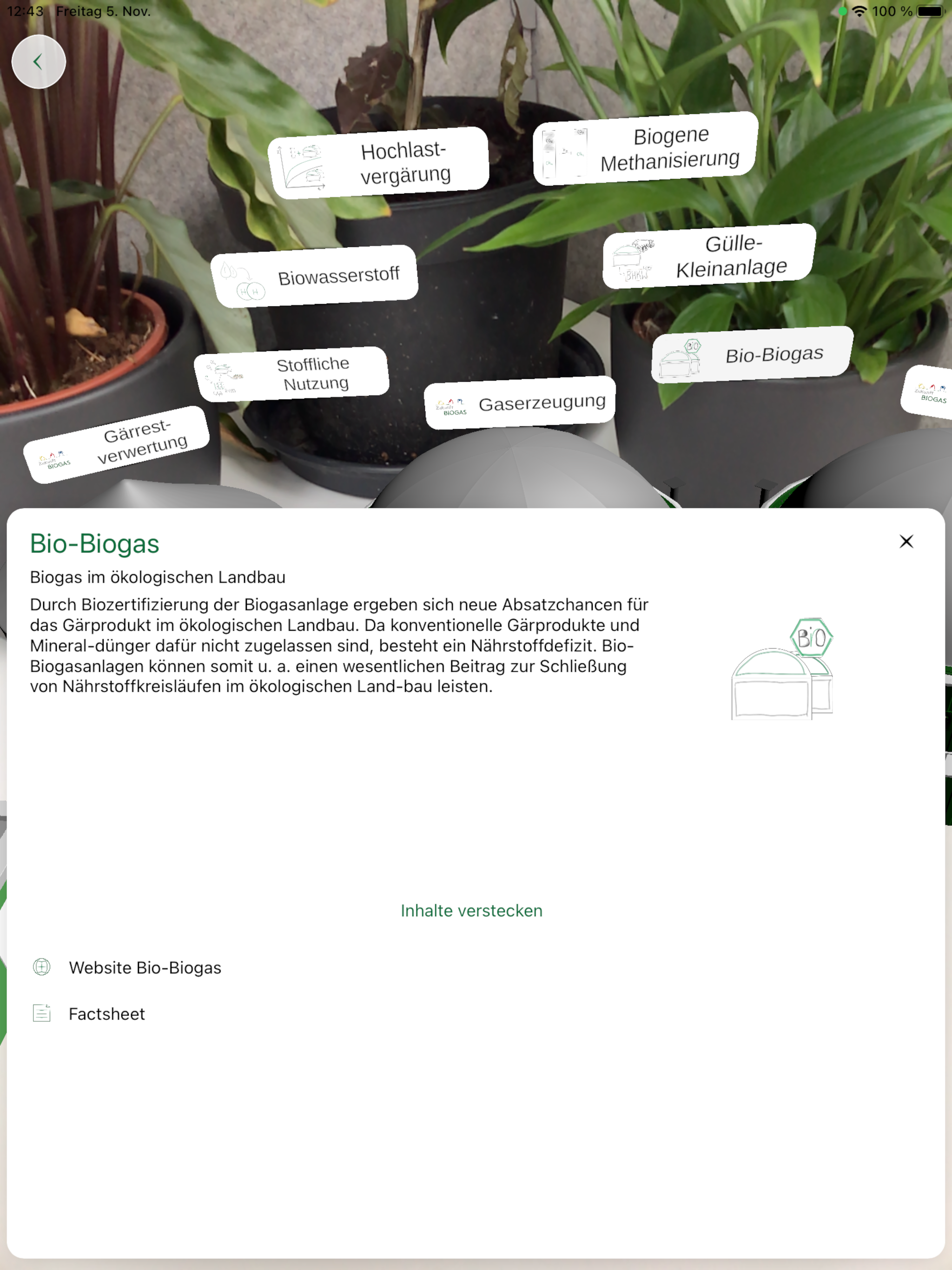Zukunft Biogas