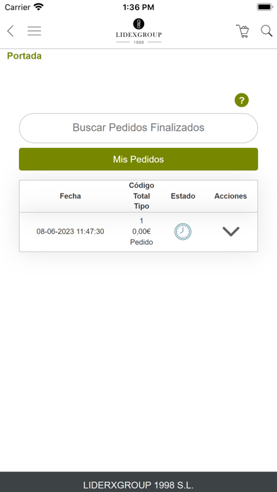 LIDEXGROUP Screenshot