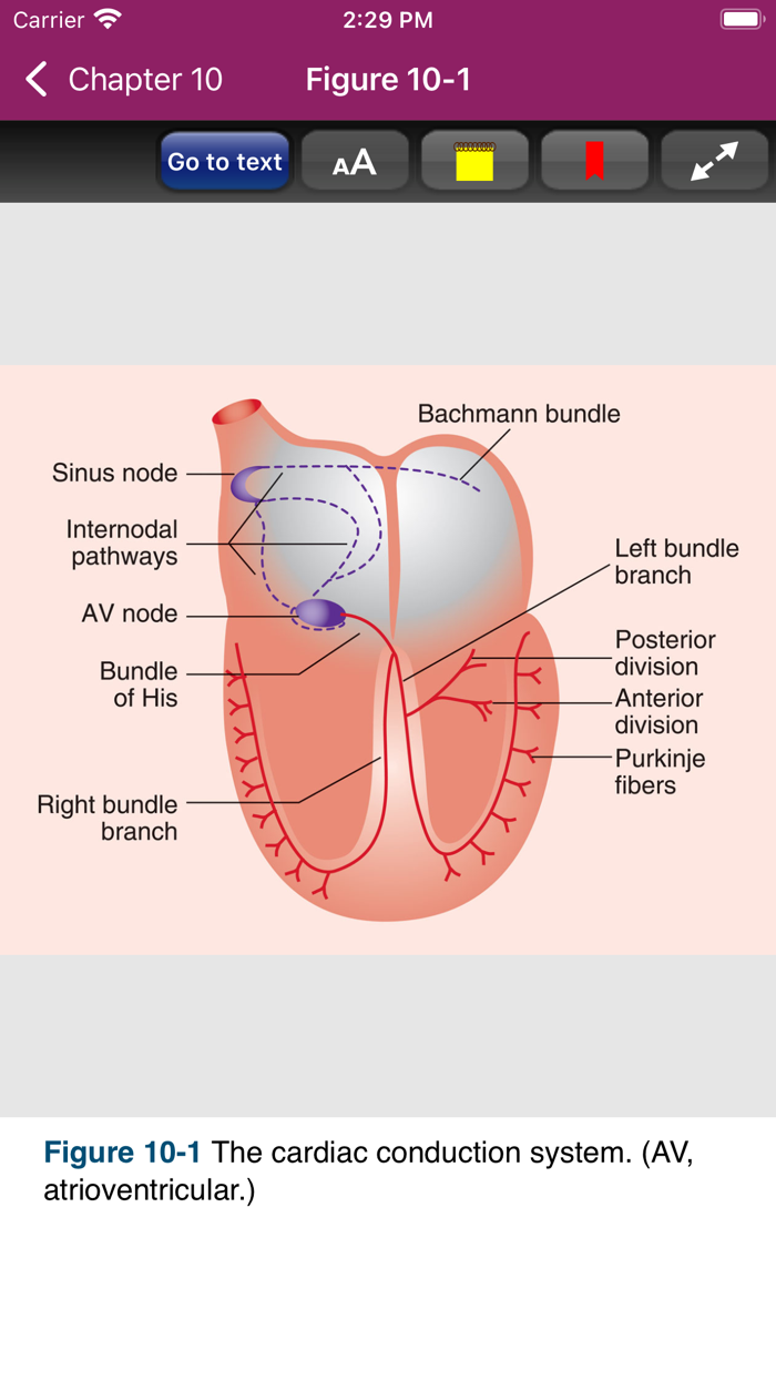 Pharmacotherapy Principles 6-E