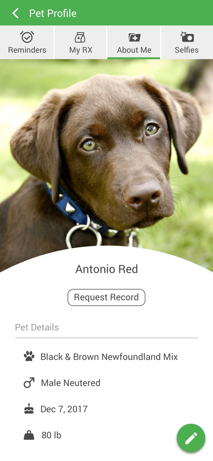 Brush Run Vet Clinic