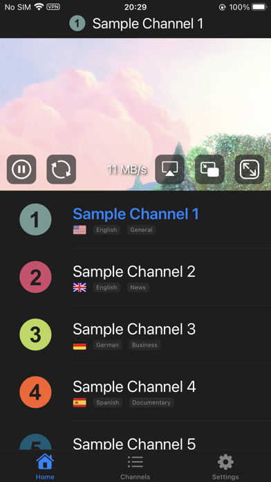 Live TV Player Screenshot