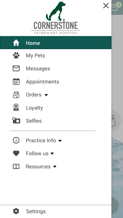 Cornerstone Vet Hospital LA Screenshot
