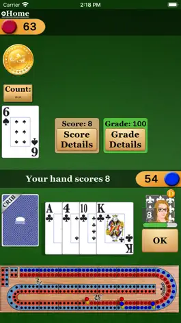 Game screenshot Cribbage Pro apk